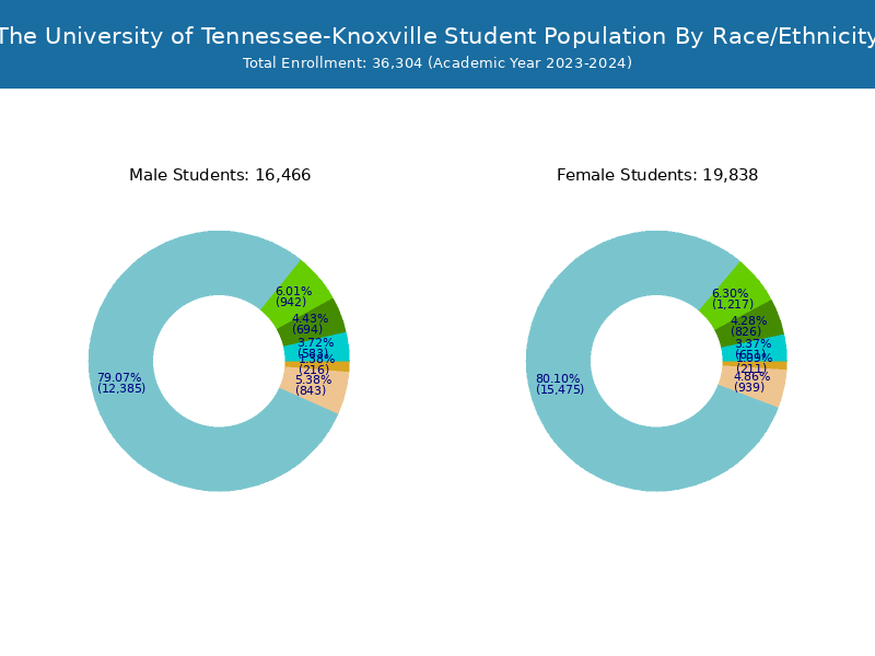 UTK Student Population and Demographics