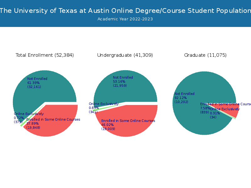 The University of Texas at Austin Online Student Population