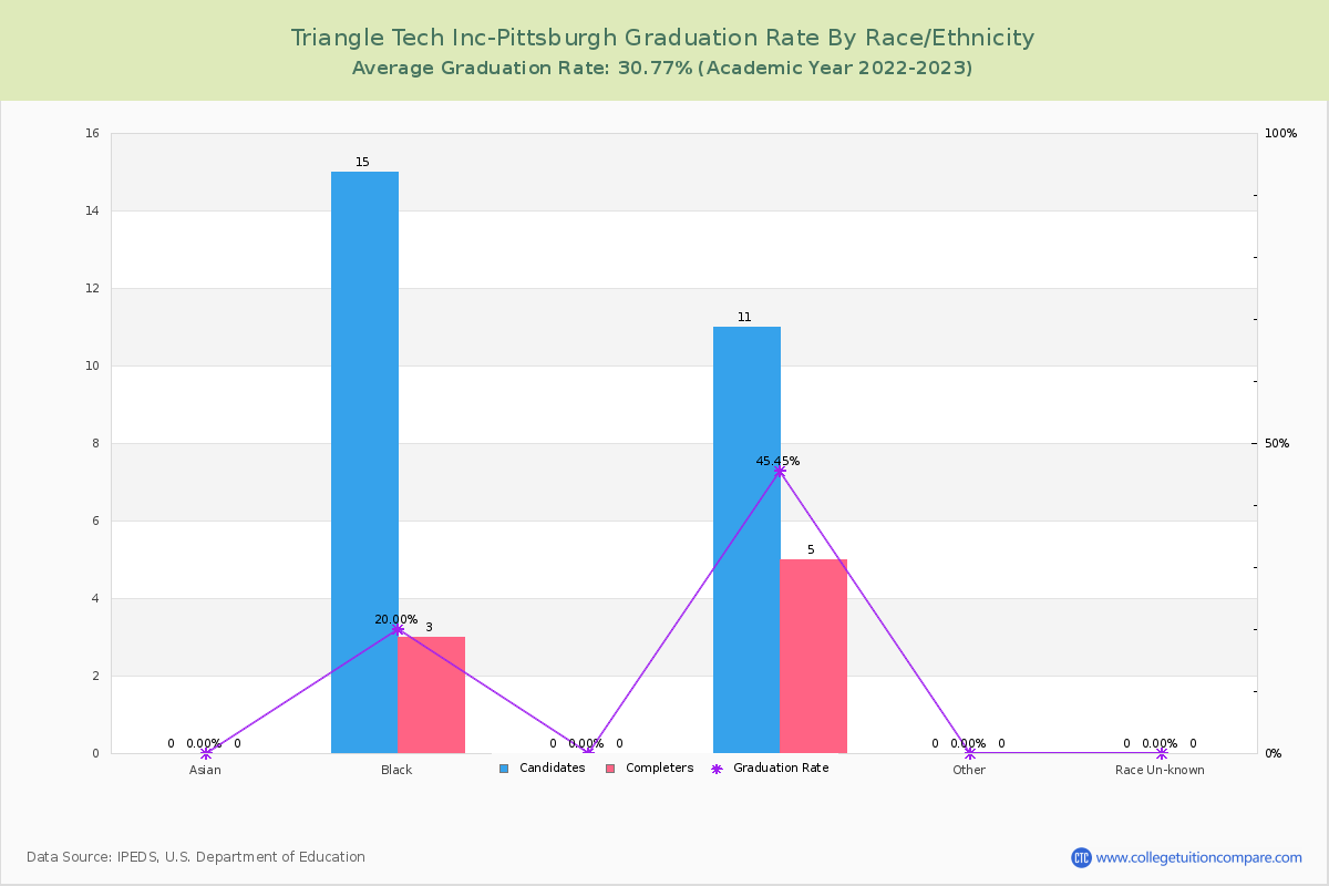 Triangle Tech Inc-Pittsburgh graduate rate by race