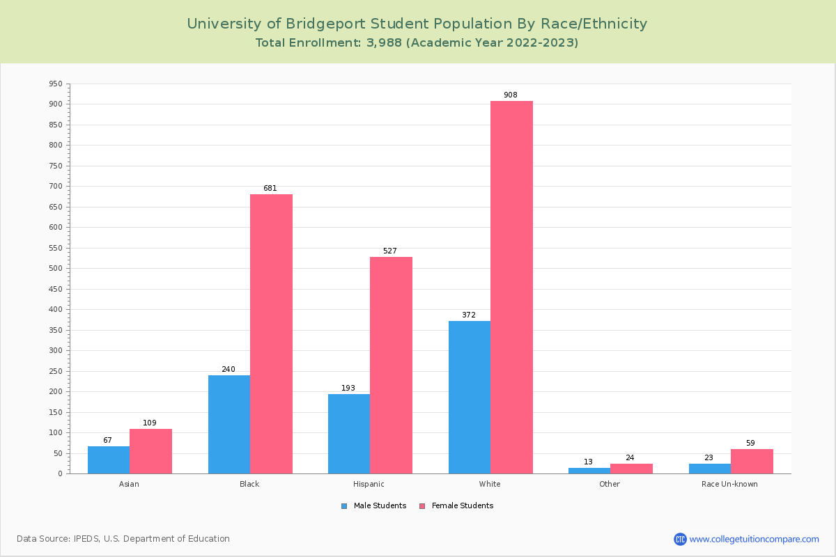 University of Bridgeport - Student Population and Demographics