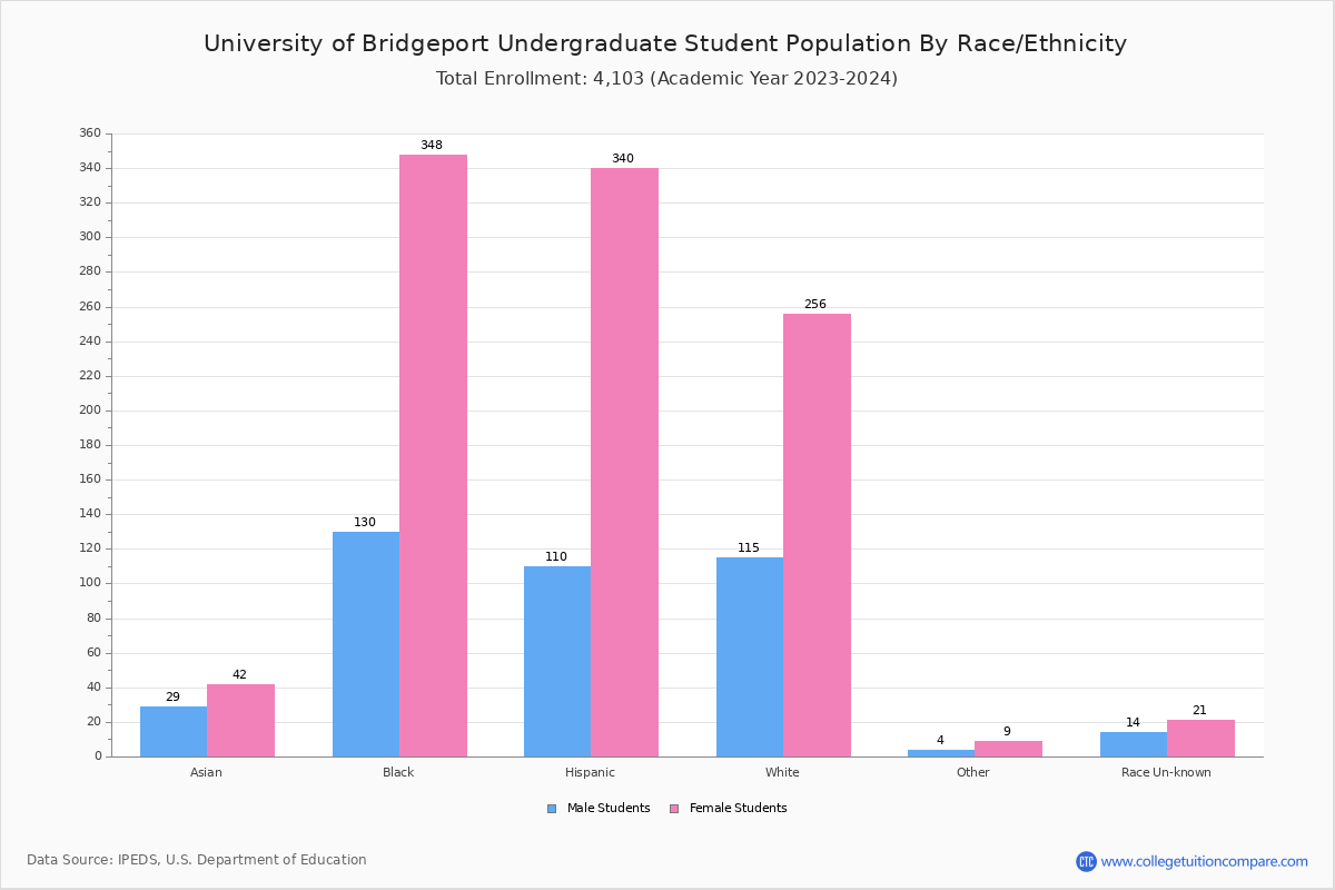 University of Bridgeport Student Population and Demographics