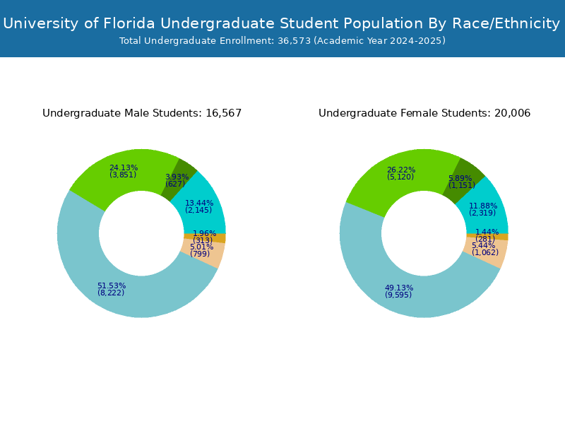 University of Florida - Student Population and Demographics
