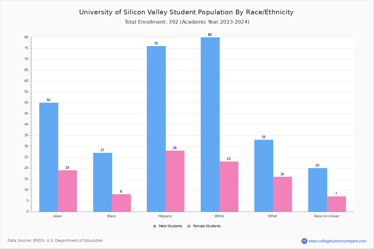 U of Silicon Valley Student Population and Demographics
