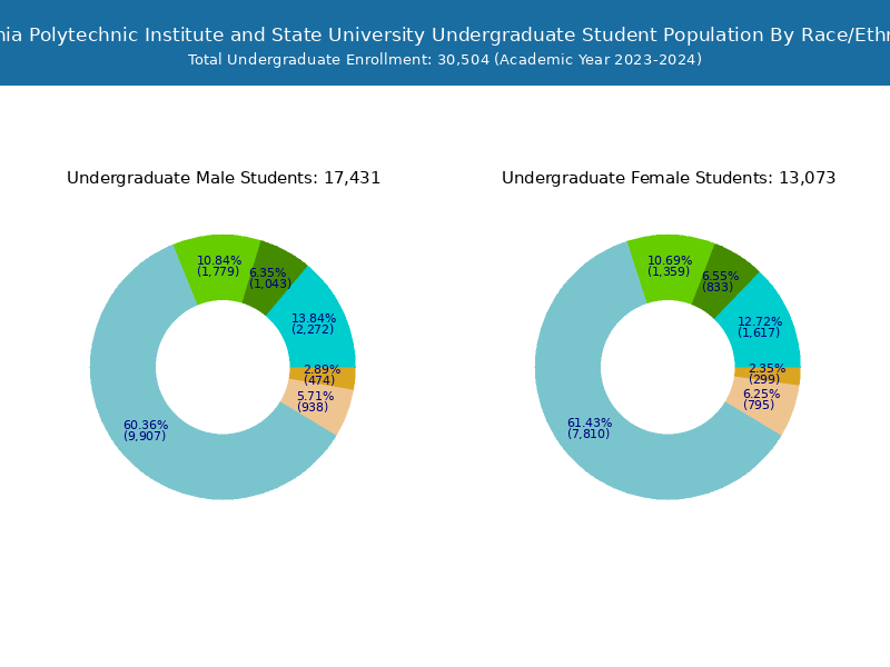 Virginia Tech - Student Population and Demographics