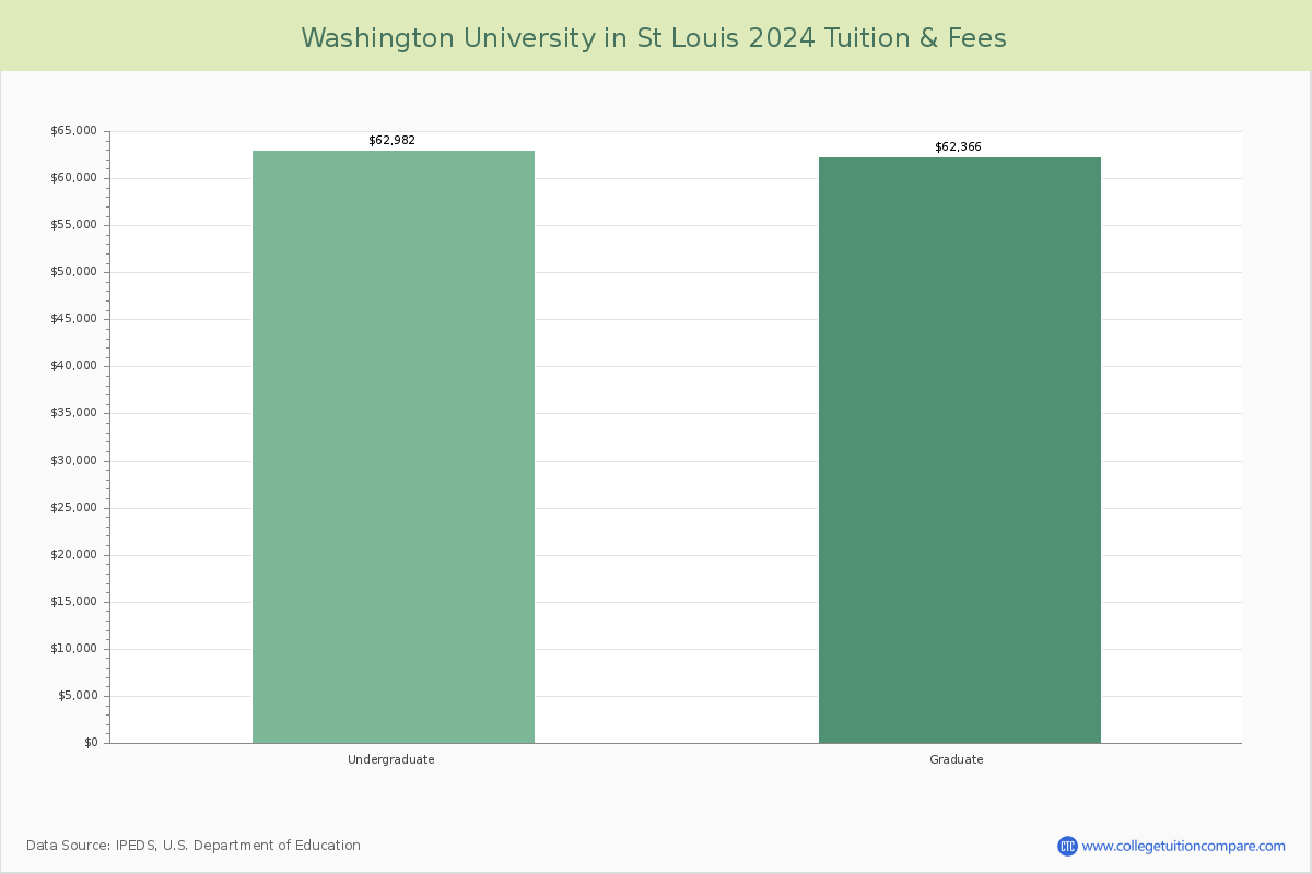 Washington University In St Louis Academic Overview