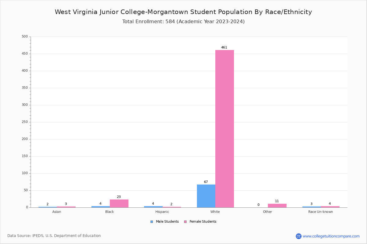 West Virginia Junior Student Population and Demographics
