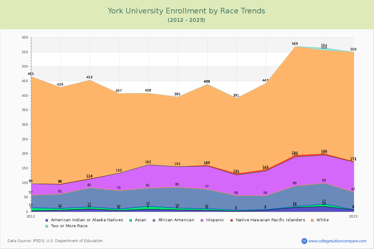 York University Enrollment by Race Trends Chart