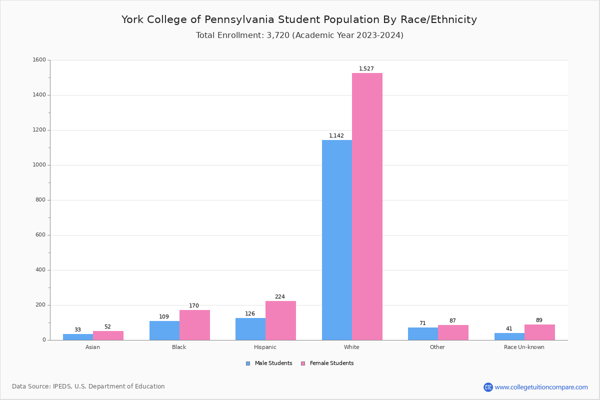 YCP Student Population and Demographics