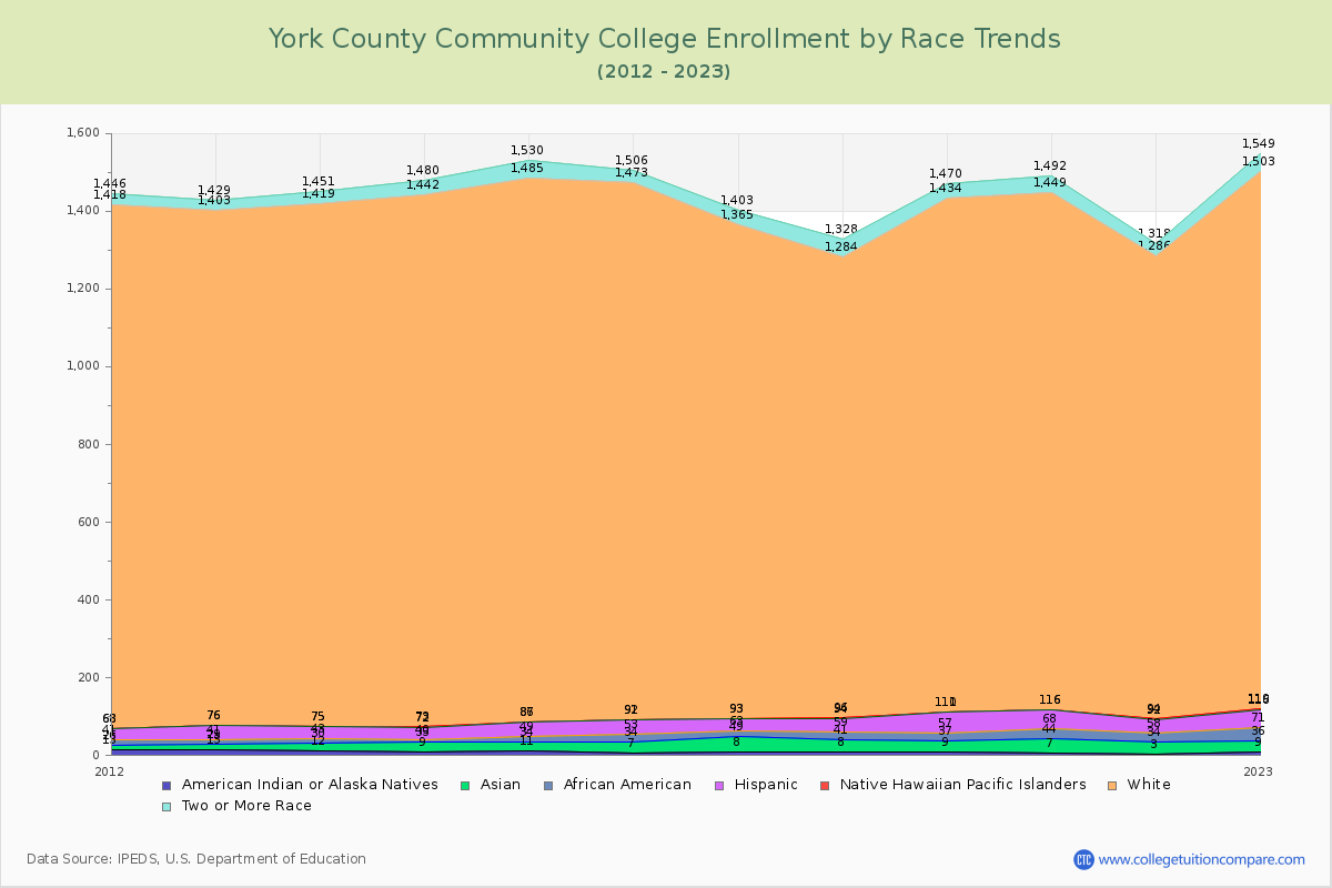 York County Community College Enrollment by Race Trends Chart
