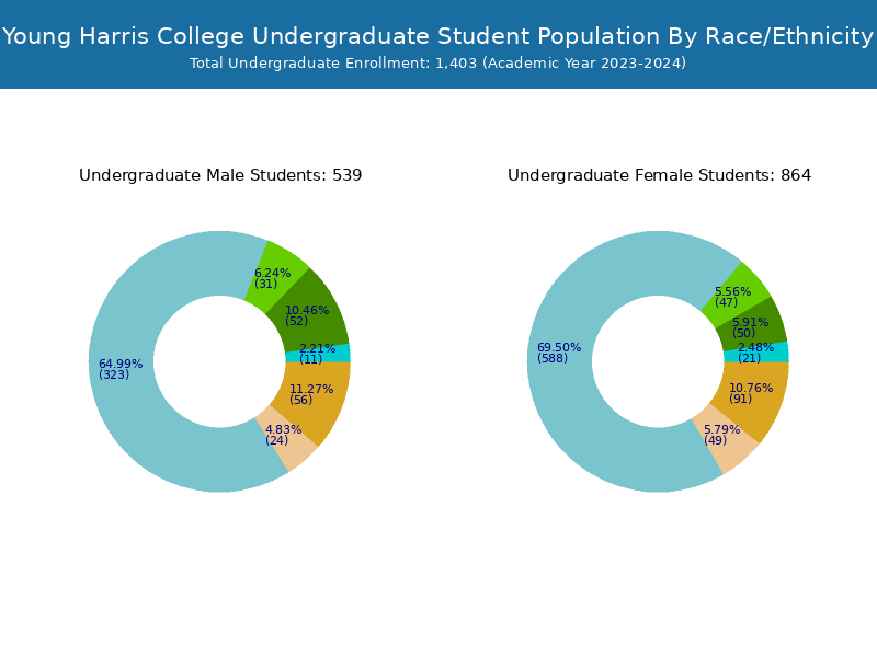 Young Harris College Student Population and Demographics