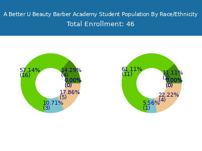 A Better U Beauty Barber Academy 2025 Student Population by Gender and Race chart