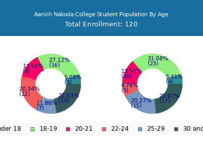 Aaniiih Nakoda College 2024 Student Population Age Diversity Pie chart