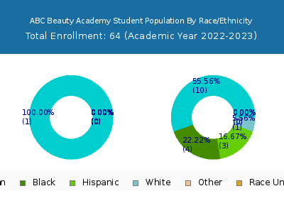 ABC Beauty Academy 2023 Student Population by Gender and Race chart