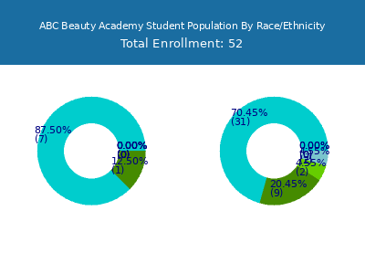 ABC Beauty Academy 2025 Student Population by Gender and Race chart