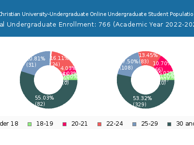 Abilene Christian University-Undergraduate Online 2023 Student Population Age Diversity Pie chart