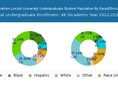 Abraham Lincoln University 2023 Undergraduate Enrollment by Gender and Race chart