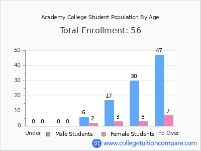Academy College 2024 Student Population by Age chart