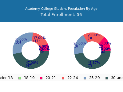 Academy College 2024 Student Population Age Diversity Pie chart