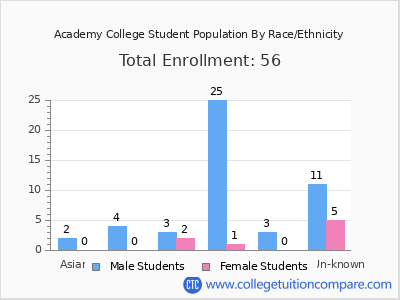 Academy College 2025 Student Population by Gender and Race chart