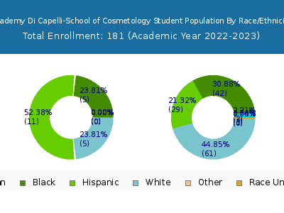 Academy Di Capelli-School of Cosmetology 2023 Student Population by Gender and Race chart