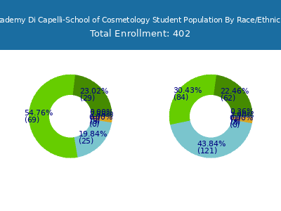 Academy Di Capelli-School of Cosmetology 2025 Student Population by Gender and Race chart