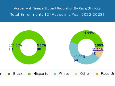 Academy di Firenze 2023 Student Population by Gender and Race chart