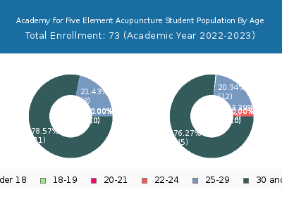 Academy for Five Element Acupuncture 2023 Student Population Age Diversity Pie chart