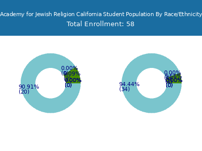 Academy for Jewish Religion California 2025 Student Population by Gender and Race chart