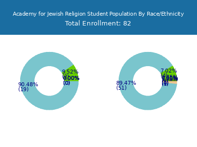 Academy for Jewish Religion 2025 Student Population by Gender and Race chart