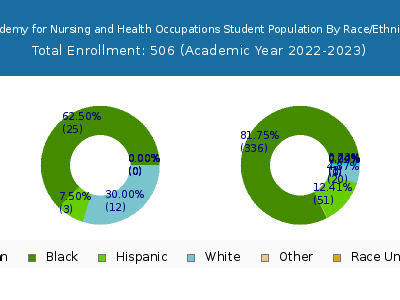 Academy for Nursing and Health Occupations 2023 Student Population by Gender and Race chart