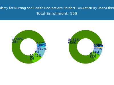 Academy for Nursing and Health Occupations 2025 Student Population by Gender and Race chart