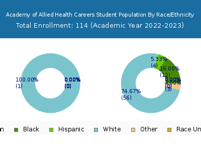 Academy of Allied Health Careers 2023 Student Population by Gender and Race chart