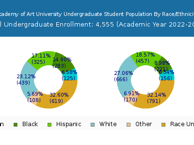 Academy of Art University 2023 Undergraduate Enrollment by Gender and Race chart