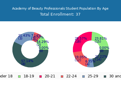 Academy of Beauty Professionals 2024 Student Population Age Diversity Pie chart