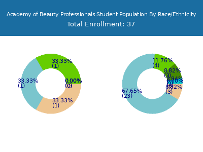 Academy of Beauty Professionals 2025 Student Population by Gender and Race chart
