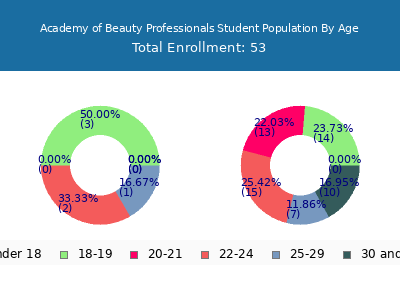 Academy of Beauty Professionals 2024 Student Population Age Diversity Pie chart