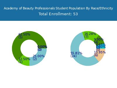 Academy of Beauty Professionals 2025 Student Population by Gender and Race chart