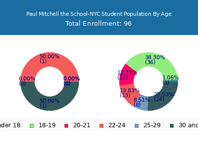 Paul Mitchell the School-NYC 2025 Student Population Age Diversity Pie chart