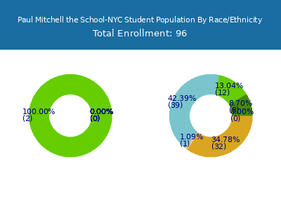 Paul Mitchell the School-NYC 2025 Student Population by Gender and Race chart