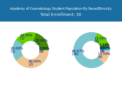 Academy of Cosmetology 2025 Student Population by Gender and Race chart