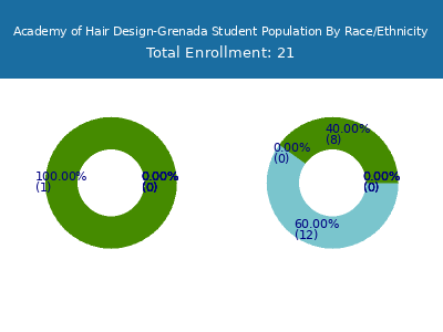 Academy of Hair Design-Grenada 2025 Student Population by Gender and Race chart