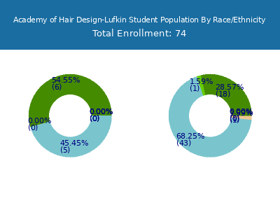Academy of Hair Design-Lufkin 2025 Student Population by Gender and Race chart