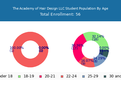 The Academy of Hair Design LLC 2024 Student Population Age Diversity Pie chart