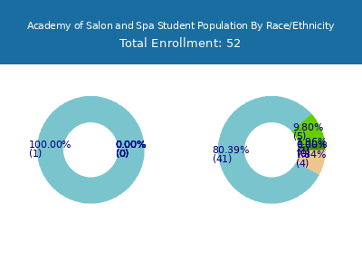 Academy of Salon and Spa 2025 Student Population by Gender and Race chart