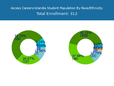 Access Careers-Islandia 2025 Student Population by Gender and Race chart