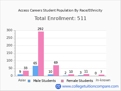 Access Careers 2025 Student Population by Gender and Race chart