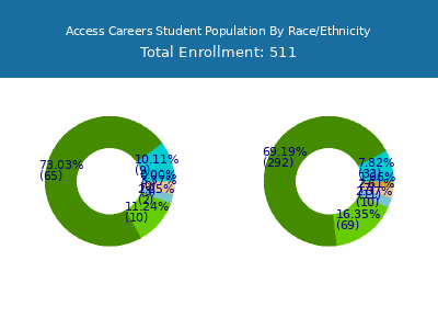 Access Careers 2025 Student Population by Gender and Race chart