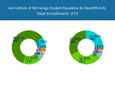Ace Institute of Technology 2025 Student Population by Gender and Race chart