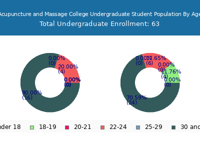 Acupuncture and Massage College 2024 Undergraduate Enrollment Age Diversity Pie chart