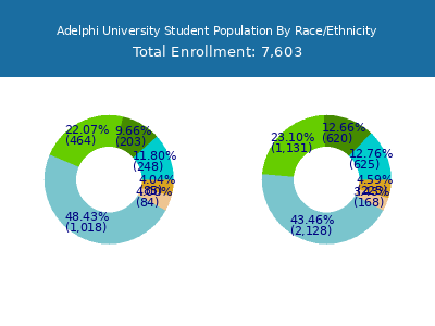 Adelphi University 2025 Student Population by Gender and Race chart